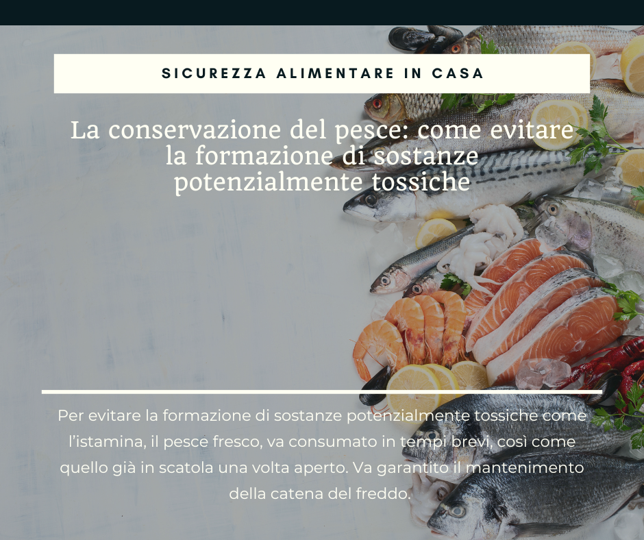 7 cibo.png
